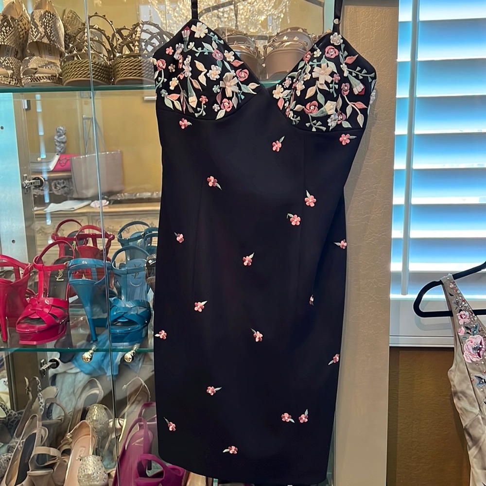 Geometrie brand black lined dress. Zipper in back , Embroidered flowers . Size 6